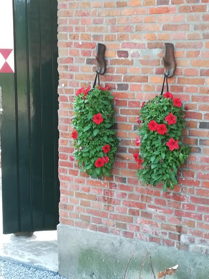 Erve Het Roolvink Boerderij Appartementen 40-50 M2 أنسْخيدي المظهر الخارجي الصورة