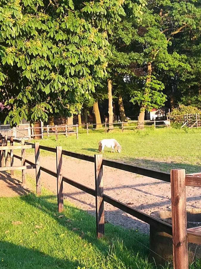 Erve Het Roolvink Boerderij Appartementen 40-50 M2 أنسْخيدي المظهر الخارجي الصورة
