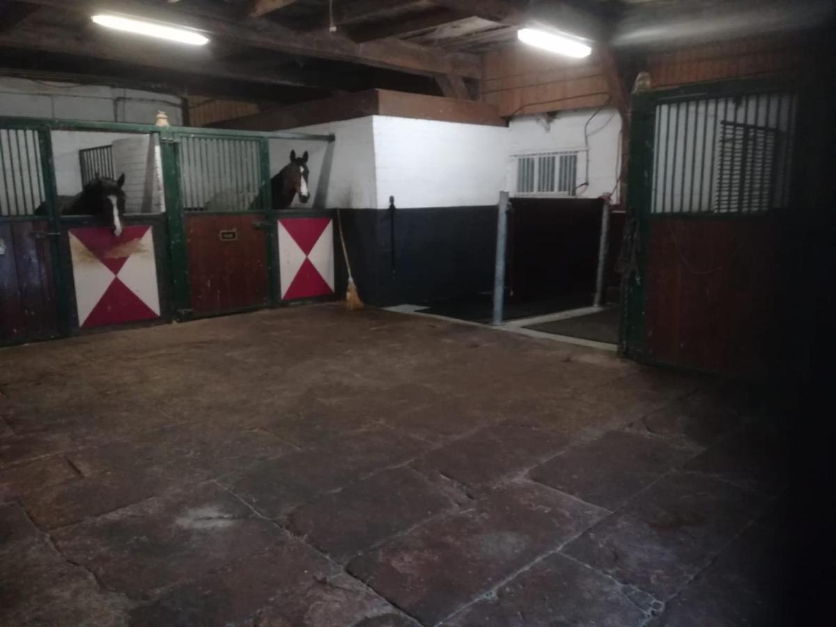 Erve Het Roolvink Boerderij Appartementen 40-50 M2 أنسْخيدي المظهر الخارجي الصورة
