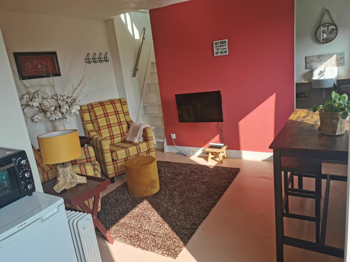 Erve Het Roolvink Boerderij Appartementen 40-50 M2 أنسْخيدي المظهر الخارجي الصورة