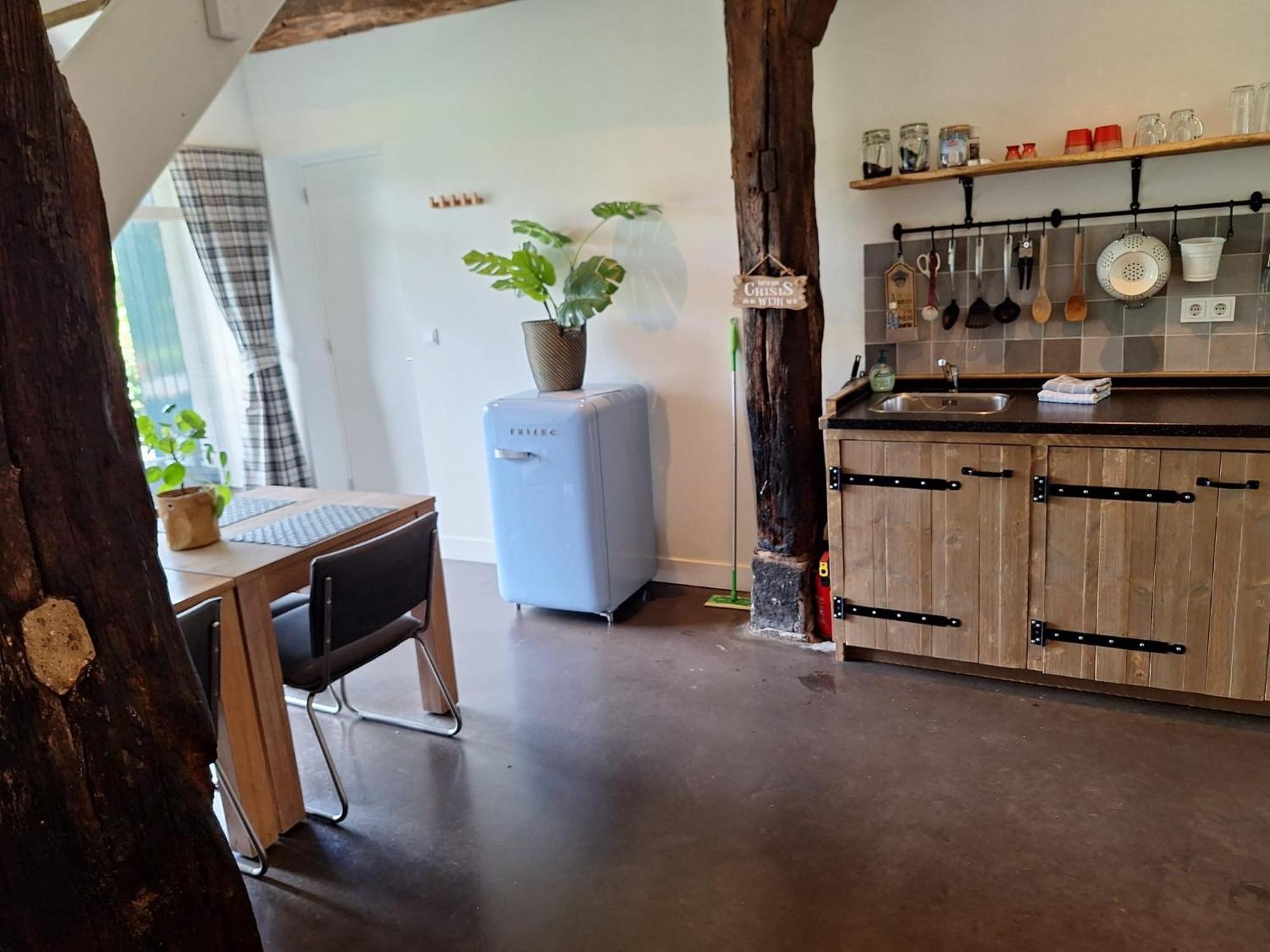 Erve Het Roolvink Boerderij Appartementen 40-50 M2 أنسْخيدي المظهر الخارجي الصورة
